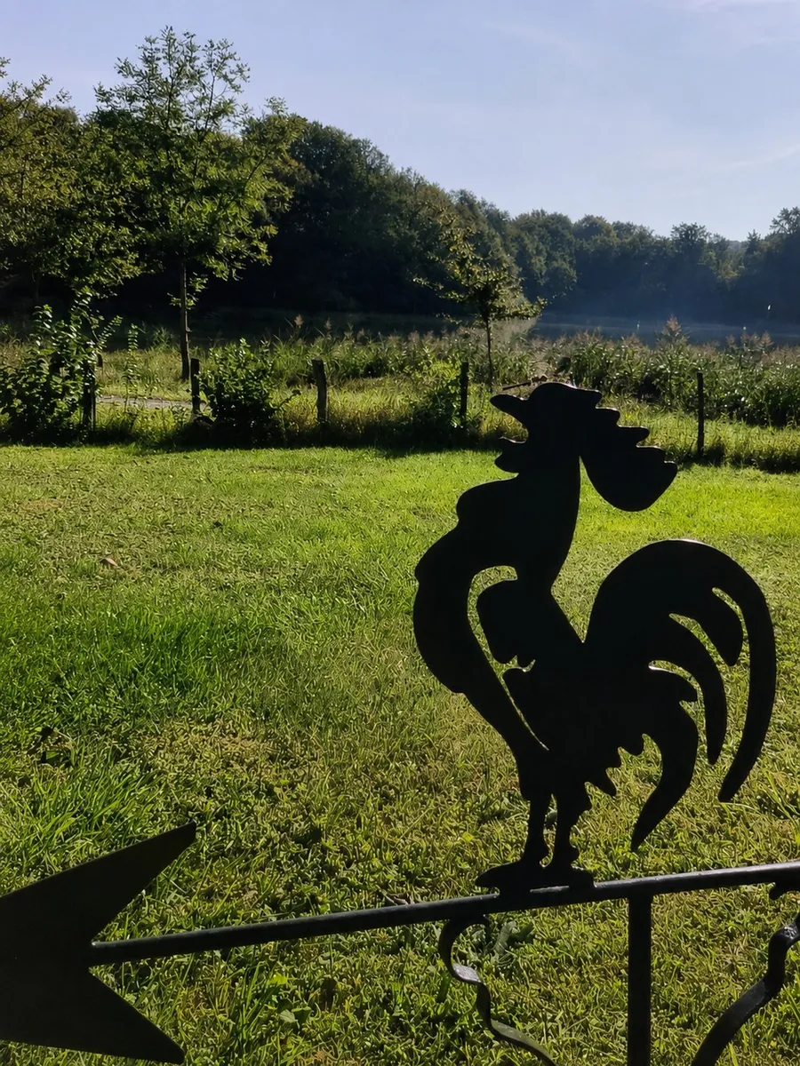 The First Flight — Photograph — a dragonfly on the crest of a metal rooster (5/5)